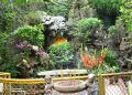 Phước An Hội Quán